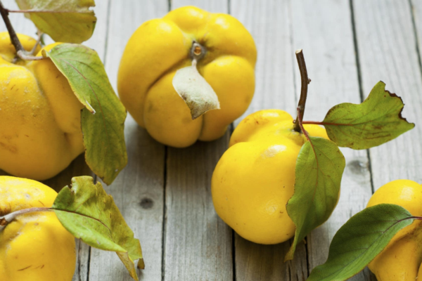 In this article, we will explore What is One Quince fruit, history, flavor profile, nutritional benefits, and various uses of quince.